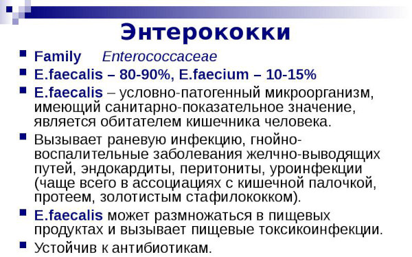 Enterococcus Faecalis (фекальный энтерококк) в мазке у женщин