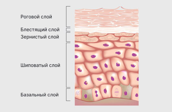 Кожный рог у человека. Фото, что это такое