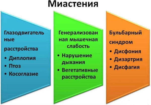 Миастения гравис (бульбарный паралич). Что это такое