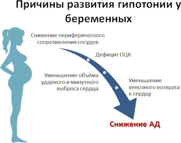 Низкое давление при беременности 2 триместр. Причины