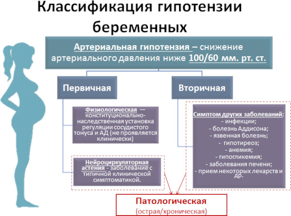 Низкое давление при беременности 2 триместр. Причины