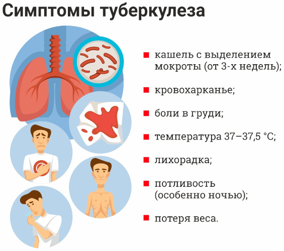 Орнитоз это что за болезнь. Симптомы, лечение