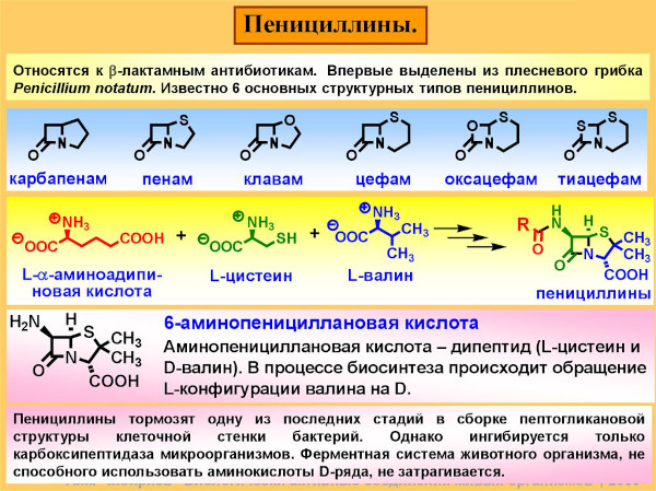 Пенициллины антибиотики для детей. Список препаратов