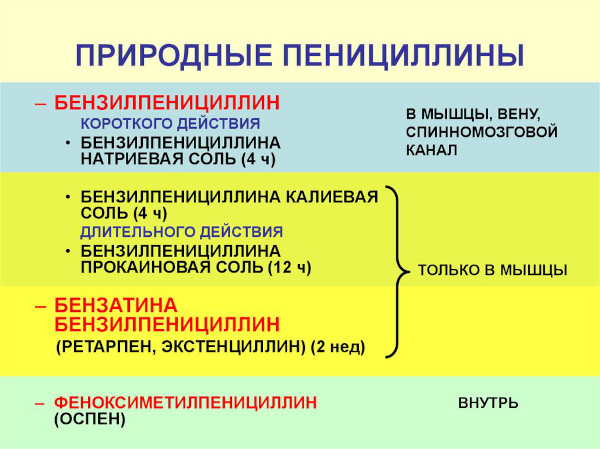 Пенициллины антибиотики для детей. Список препаратов