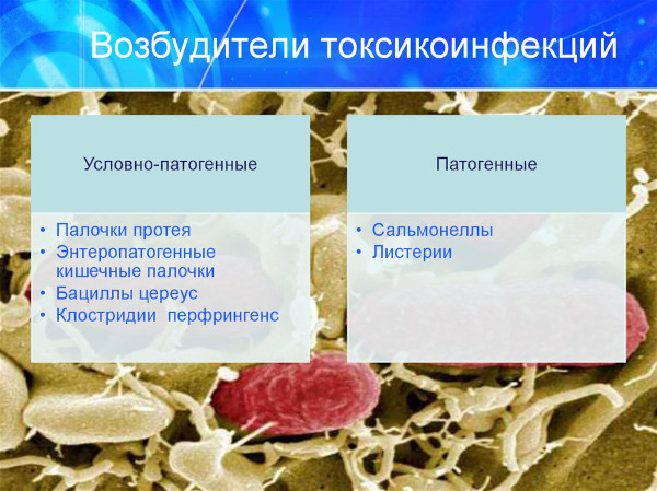 Пищевые токсикоинфекции. Клинические рекомендации, возбудители