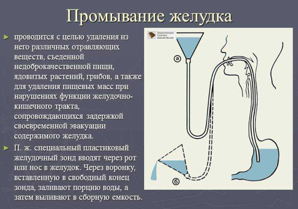 Пищевые токсикоинфекции. Клинические рекомендации, возбудители