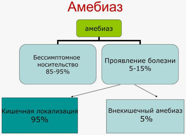 Протозойные инфекции. Что это такое, симптомы