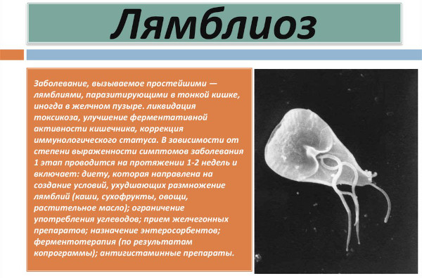 Протозойные инфекции. Что это такое, симптомы