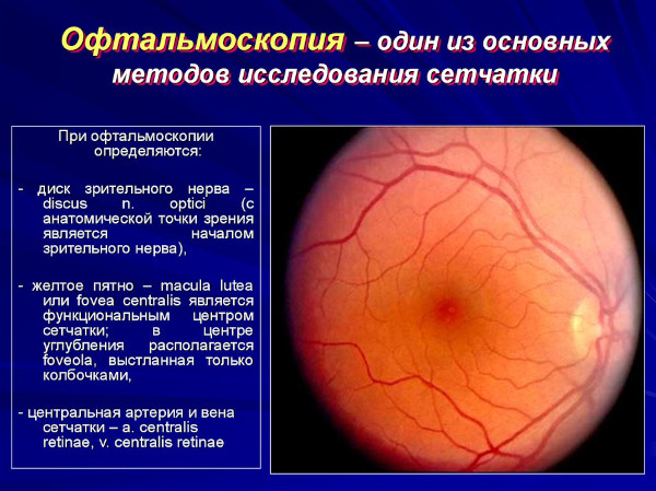 Симпатическая офтальмия. Что это такое, клинические рекомендации