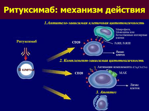 Системные васкулиты. Классификация, клинические рекомендации