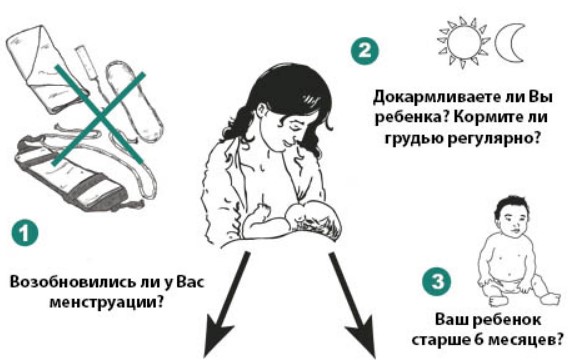 Лактационная аменорея. Что это такое, лечение