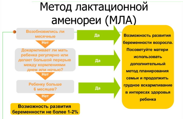 Лактационная аменорея. Что это такое, лечение