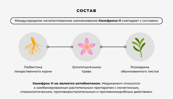 Леспенефрил и аналоги без спирта в таблетках. Цены