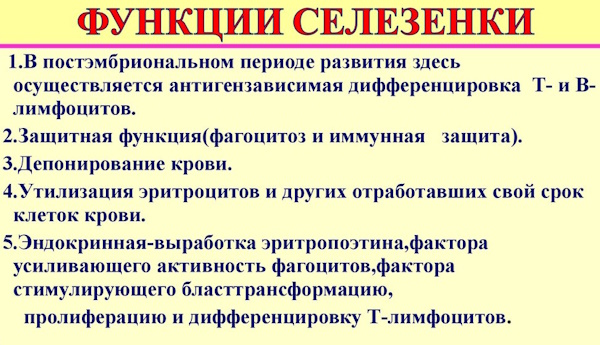 Селезенка болит. Причины у женщин, лечение