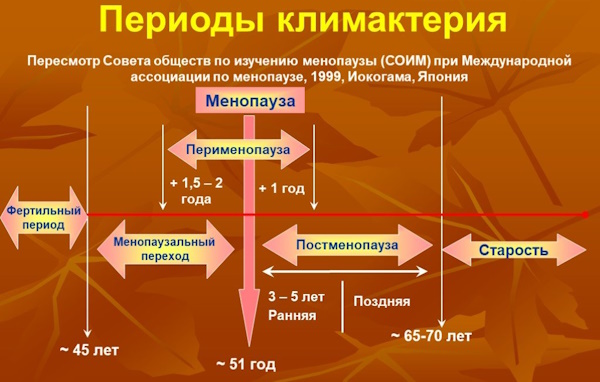 Женская физиология (физиология тела женщины)