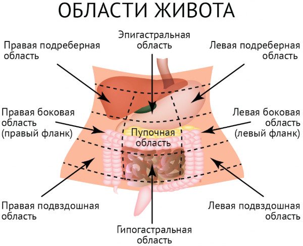 Безоар желудка что это такое в медицине, фото