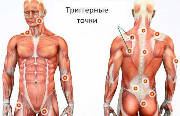 Миофасциальный массаж. Что это такое, для чего нужен