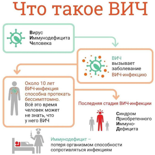 Мягкий шанкр. Фото, что это, лечение