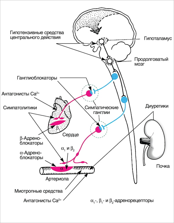 Раунатин (Raunatine) таблетки. Инструкция по применению