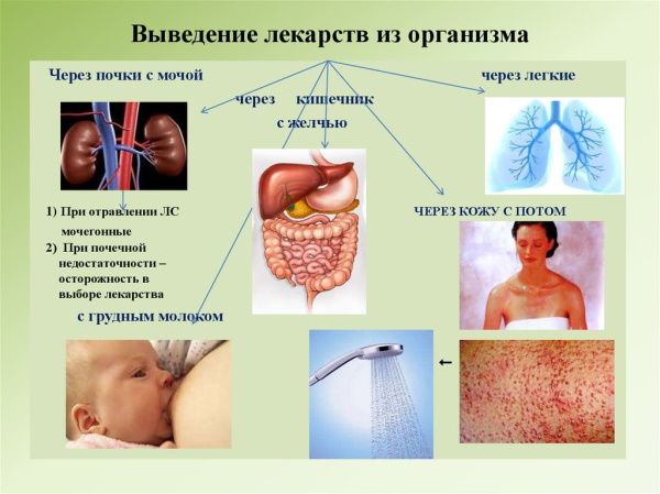 Адуцил (Aducil) таблетки. Инструкция по применению, цена