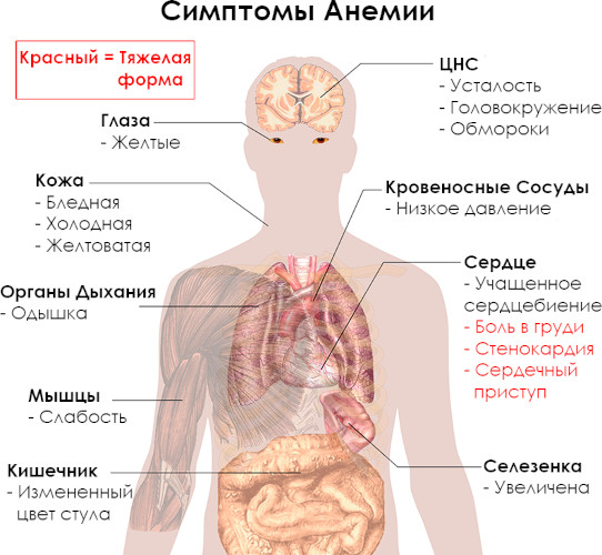 Ривароксабан (Rivaroxaban) таблетки. Инструкция по применению