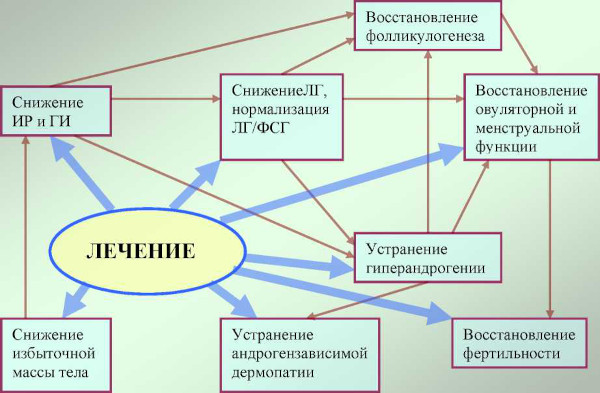 Гиперандрогения у женщин. Что это, симптомы, лечение