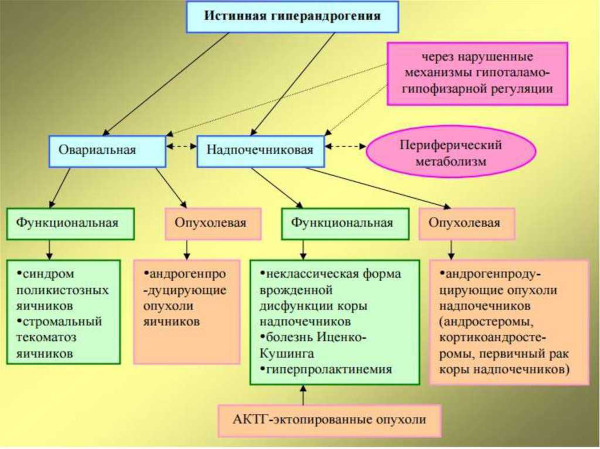 Гиперандрогения у женщин. Что это, симптомы, лечение