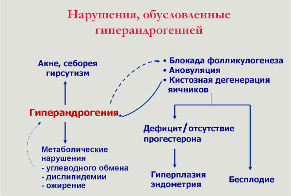 Гиперандрогения у женщин. Что это, симптомы, лечение