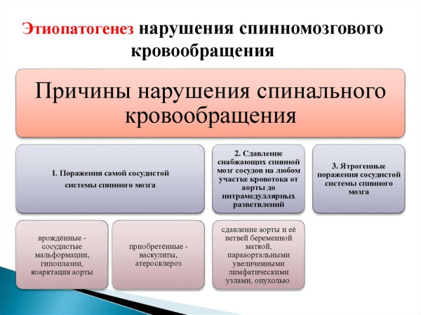 Инсульт спинного мозга (спинальный). Симптомы, лечение