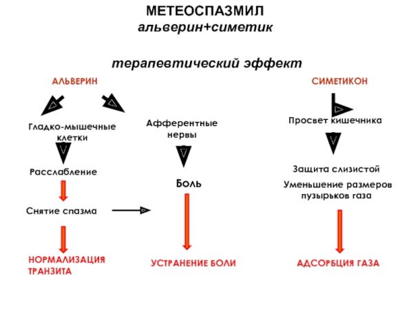 Метеоспазмил. Инструкция по применению, цена, отзывы