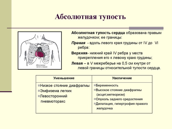 Митральная конфигурация сердца. Рентгенограмма, что это, характеристика