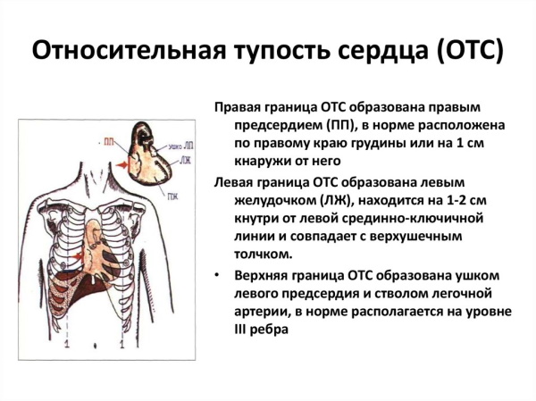 Митральная конфигурация сердца. Рентгенограмма, что это, характеристика