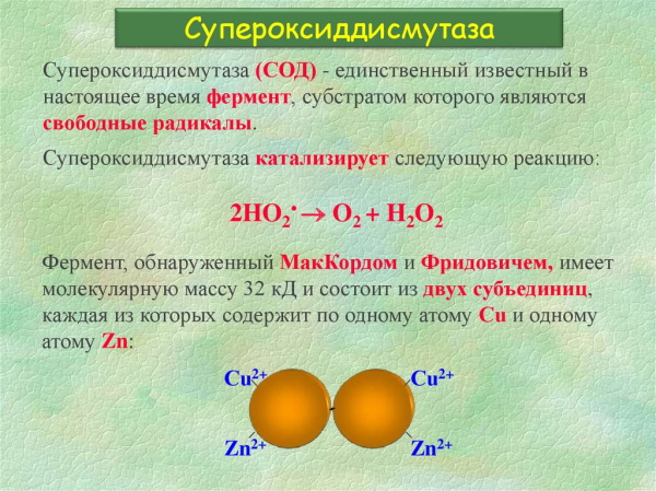 Октолипен (Octolipen) капельница. Инструкция, для чего, отзывы