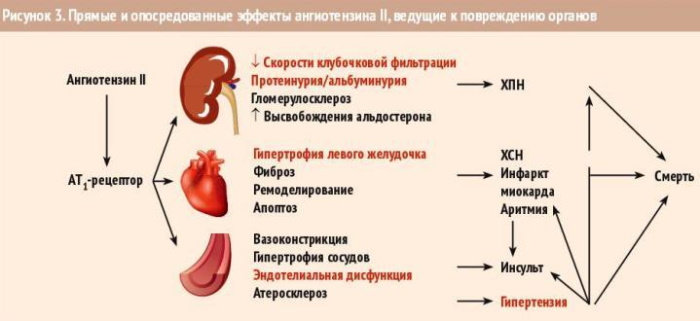 Рамиприл (Ramipril). Инструкция по применению, цена, отзывы