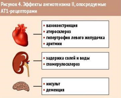 Рамиприл (Ramipril). Инструкция по применению, цена, отзывы