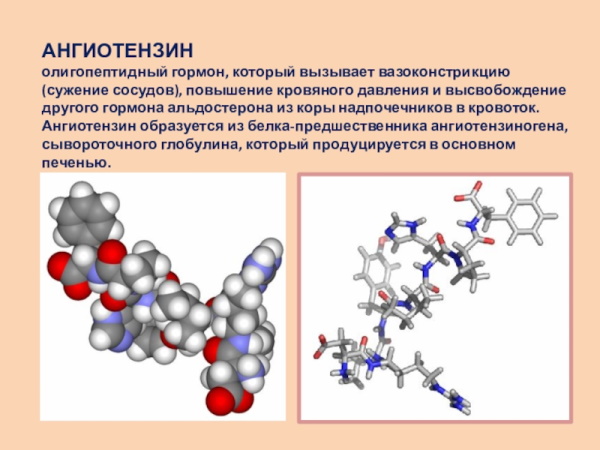 Рамиприл (Ramipril). Инструкция по применению, цена, отзывы