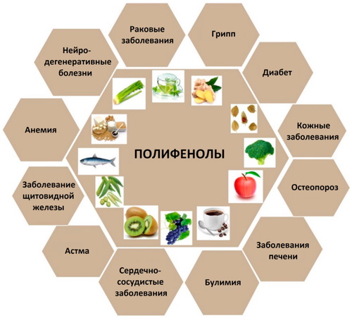 Биофлавоноиды препараты. Что это такое простыми словами