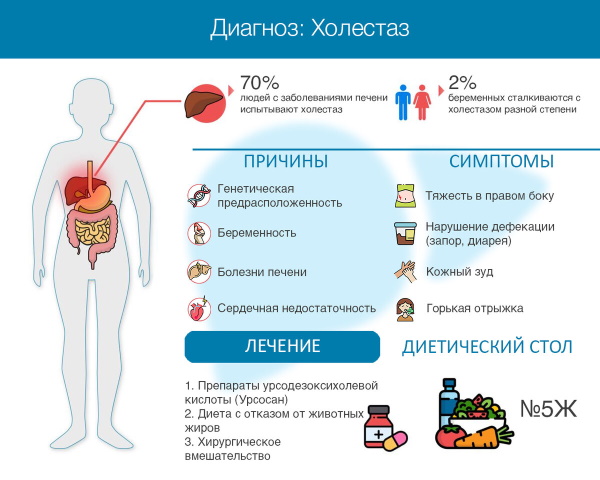 Фламин (Flamin) таблетки. Инструкция по применению, цена