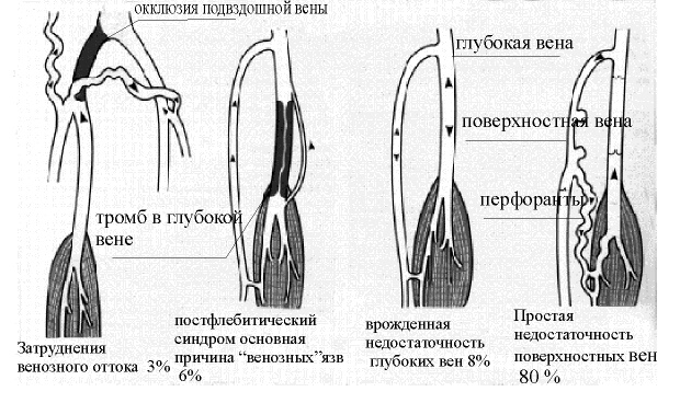 Фламин (Flamin) таблетки. Инструкция по применению, цена