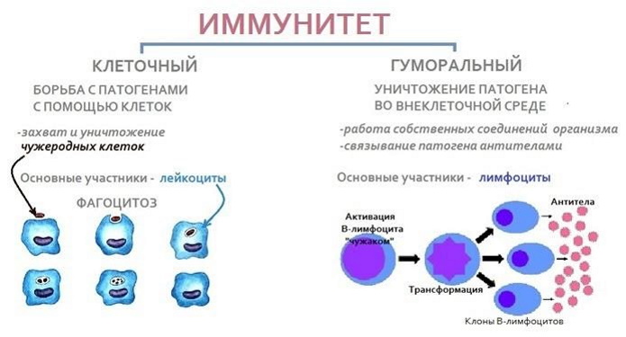 Кандидозный кольпит (вагинит). Лечение у женщин, клинические рекомендации