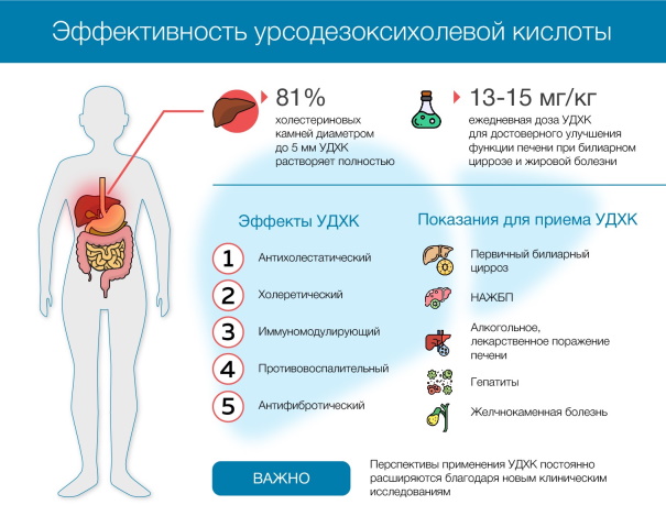 Препараты урсодезоксихолевой кислоты. Список